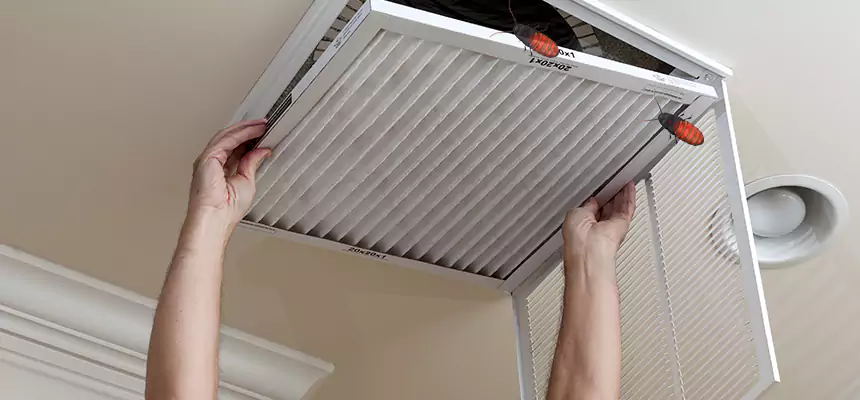 Preventive Cockroach-Proofing for Ducts in Yucaipa