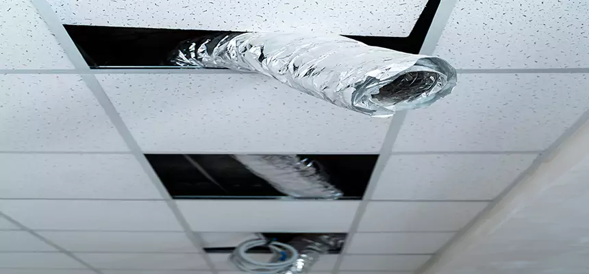 Our Air Duct Pet Hair Removal Services in Yucaipa, CA