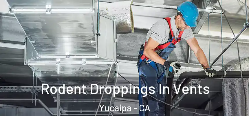  Rodent Droppings In Vents Yucaipa - CA