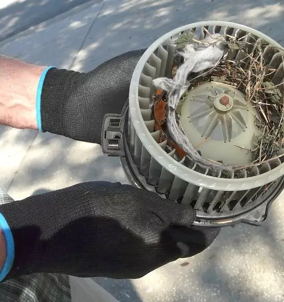 About Air Duct Mice Removal in Yucaipa, CA