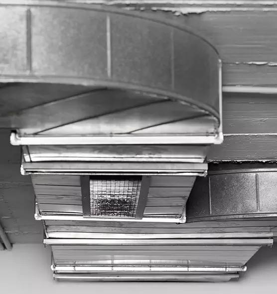 Professional Air Duct Pest Removal in Yucaipa, CA