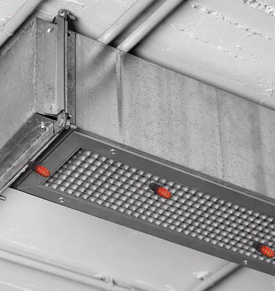 Affordable Insect Removal from Air Ducts in Yucaipa, CA