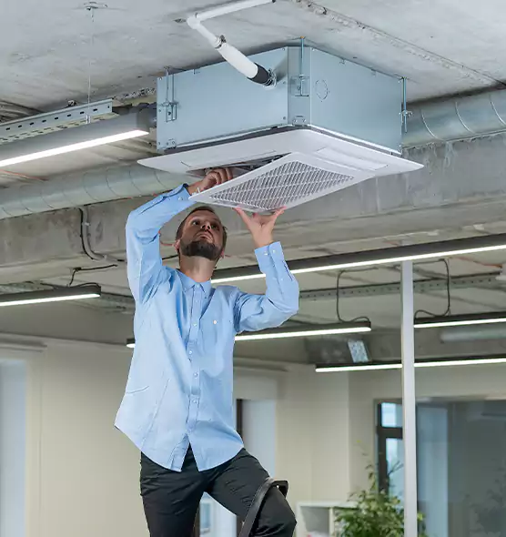 Advanced Rodent Droppings In Vents in Yucaipa, CA