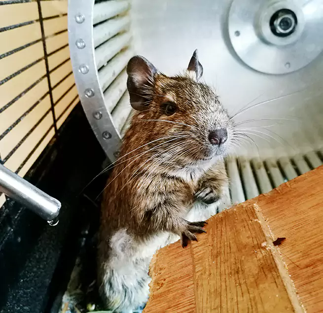 Why Homeowners & Businesses Trust Us Yucaipa, CA