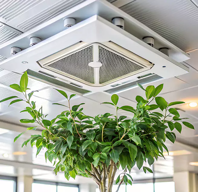 Why Homeowners & Businesses Trust Us in Yucaipa, CA?